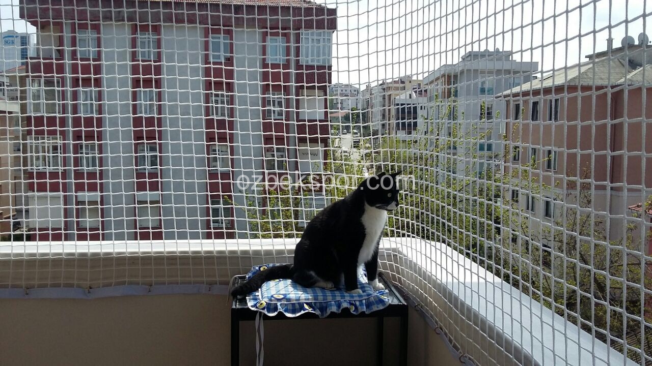 KEDİ KORUMA FİLESİ « Özbek Spor File Ağ İmalatı, Koruma Filesi, Spor